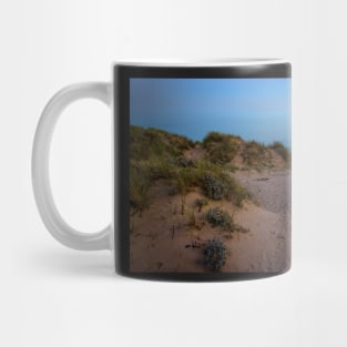 The Sunset Dunes - 2011 Mug